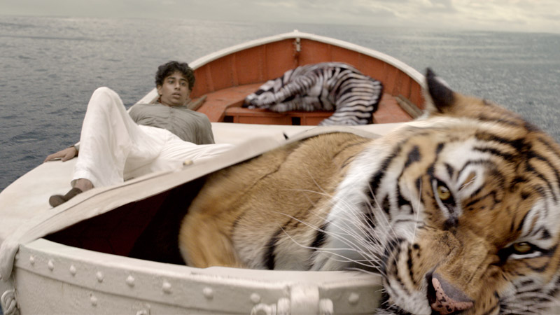 The Year of The Tiger: What Richard Parker Can Teach Us About Life | Art of  Saudade – Art of Saudade